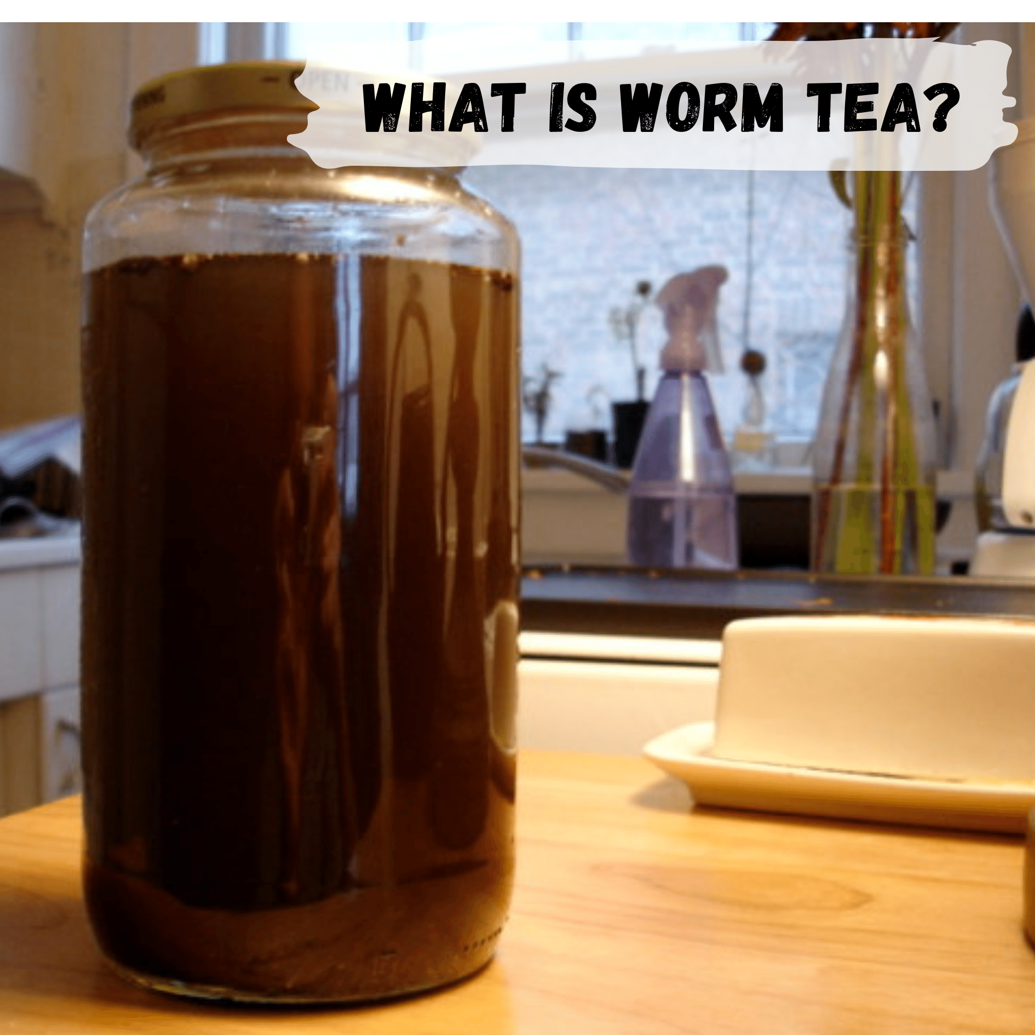 A Guide to Making & Using Worm Tea