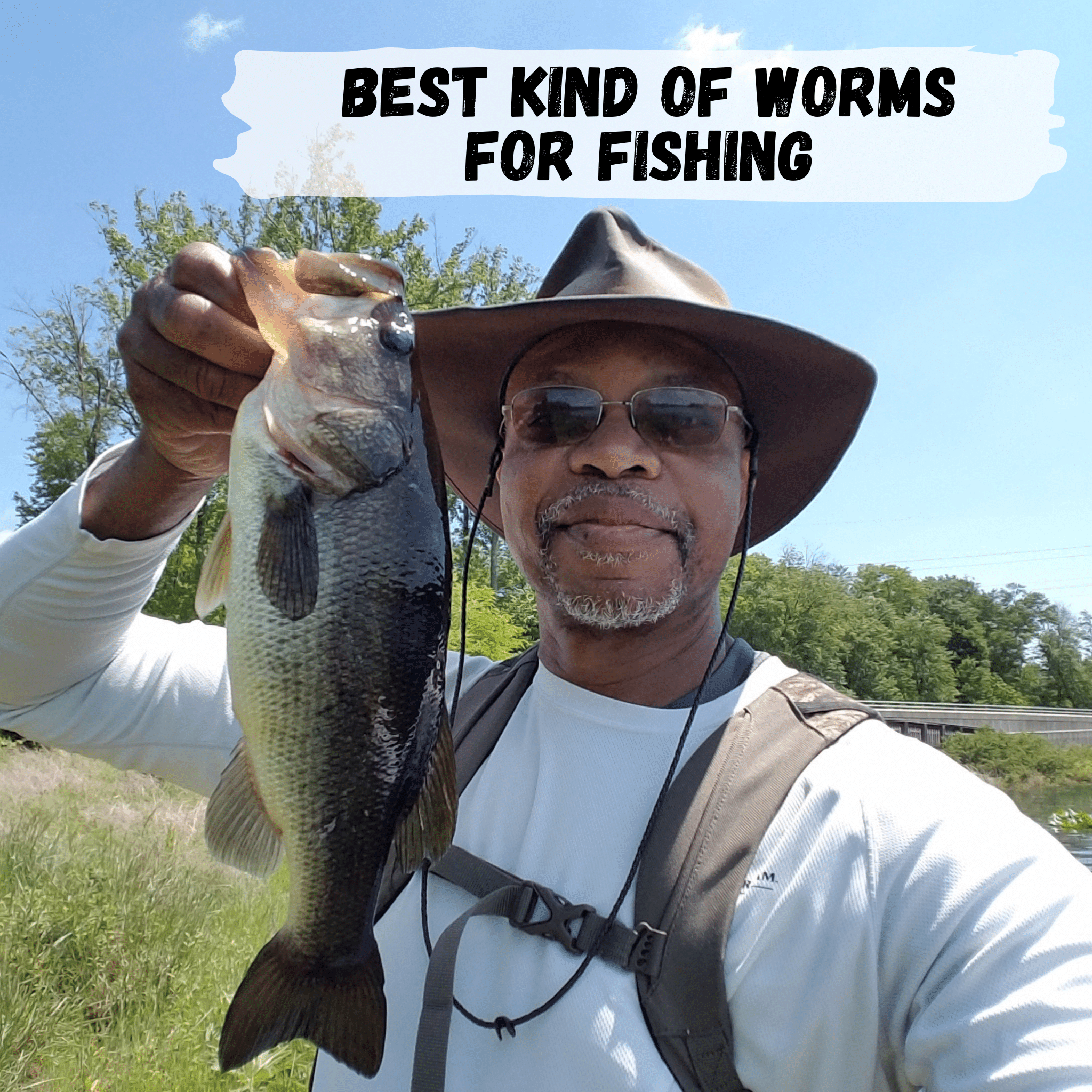 Best kind of worms for fishing WormBucket