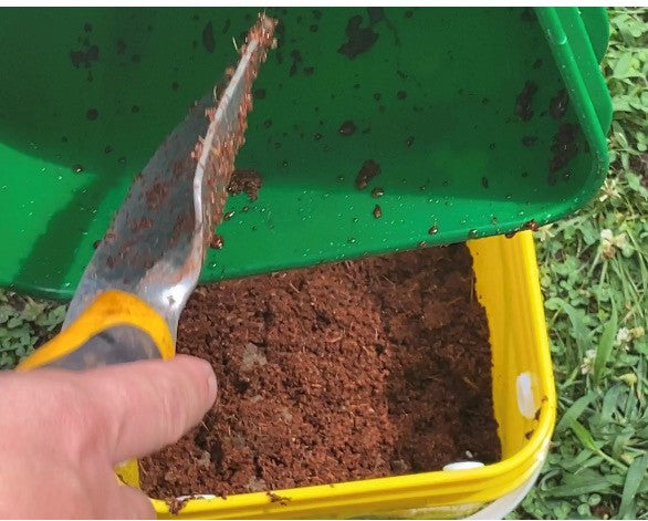 An image of the setup process of putting the coco coir worm bedding into the Worm Bucket. This small worm composter is capable for use indoors or outdoors.