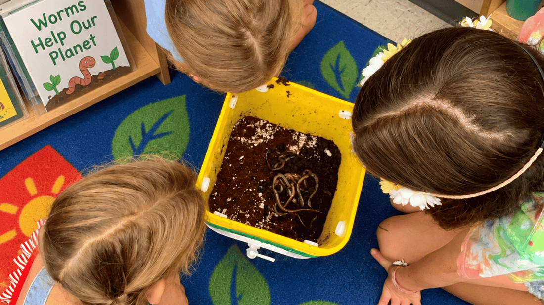 Classroom Worm Composting: Free Activities and Resources for Teachers