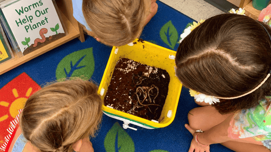 Classroom Worm Composting: Free Activities and Resources for Teachers