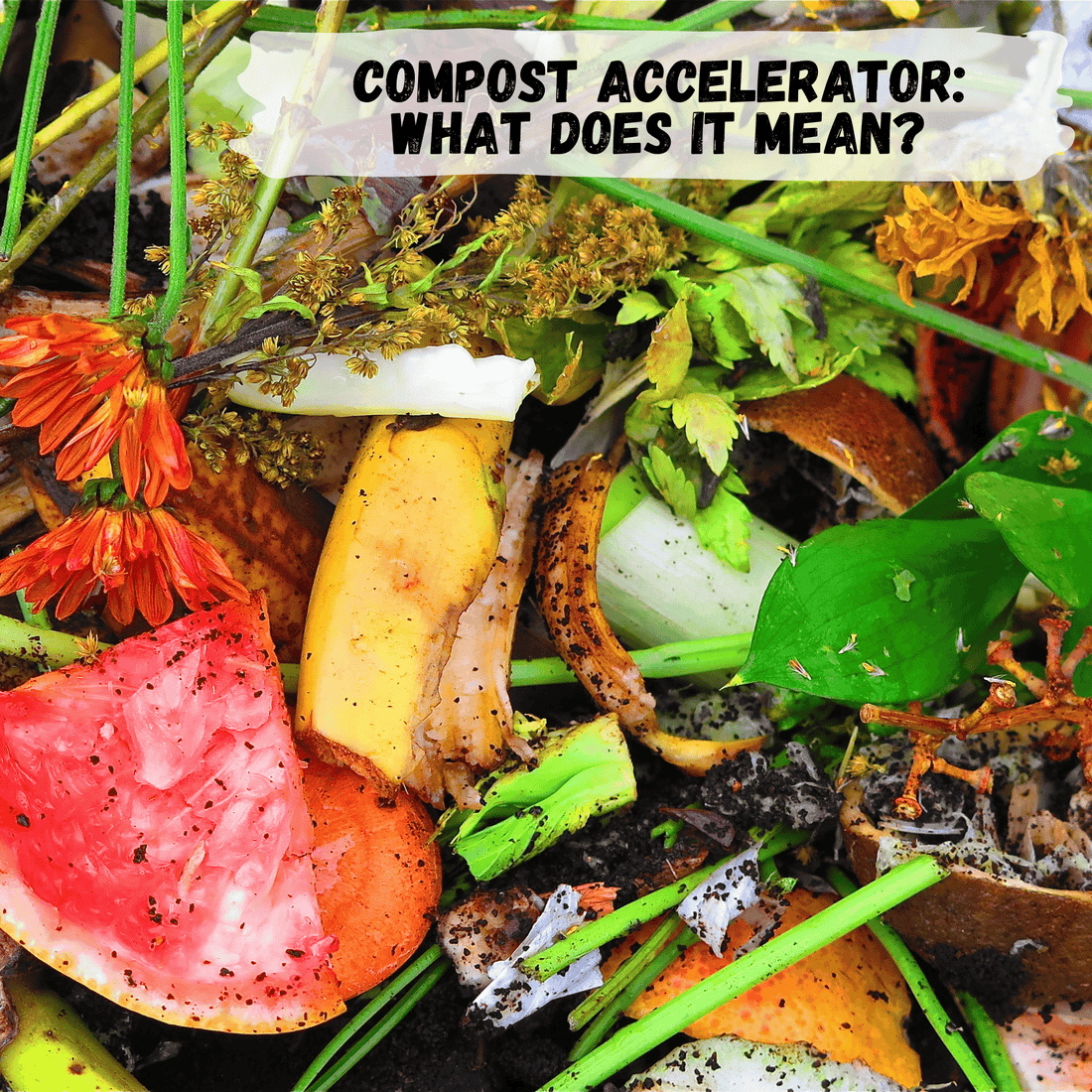 brightly colored compost that includes fruits, flowers and vegetables
