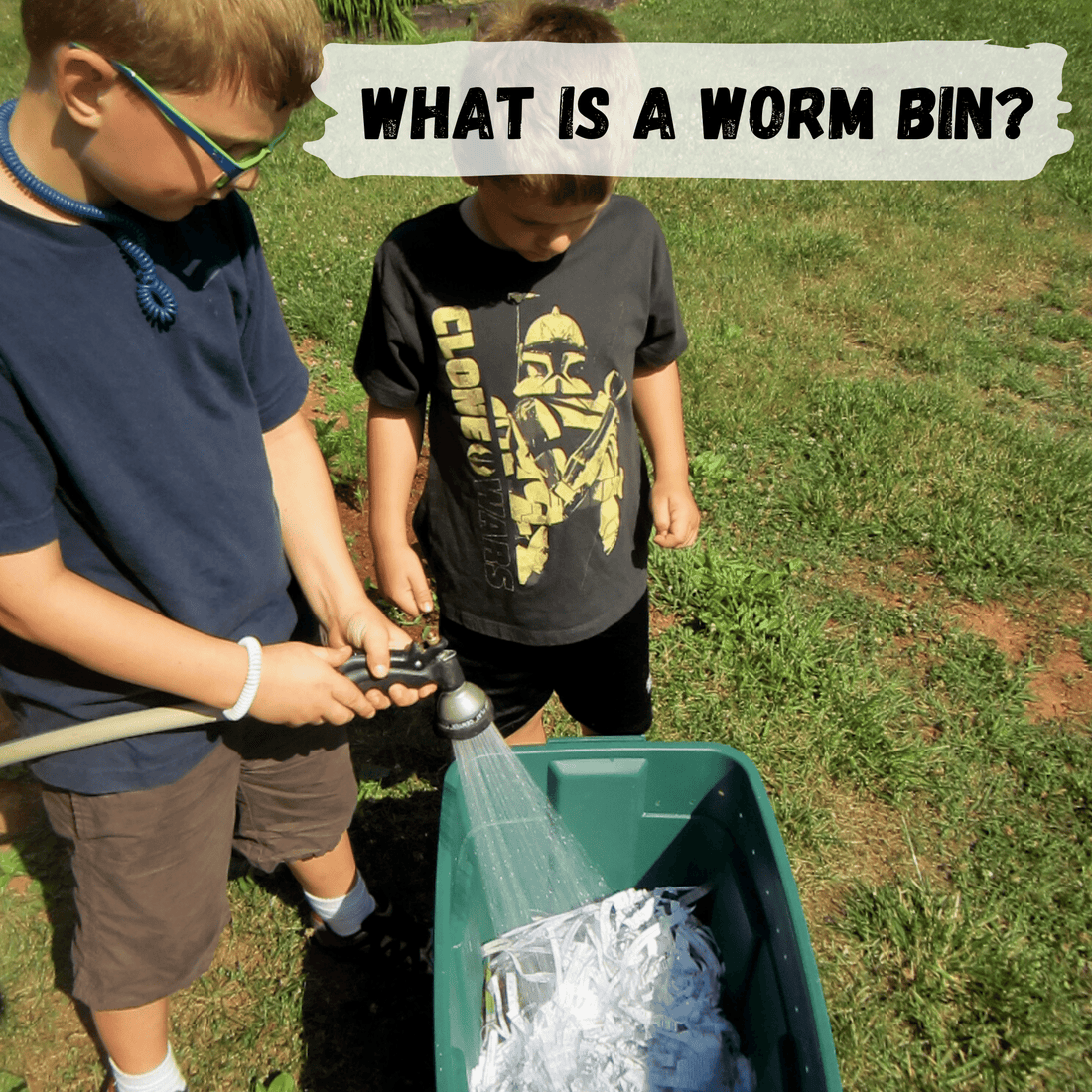 What is a worm bin?