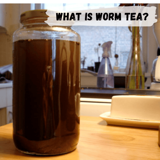 What is Worm Tea?