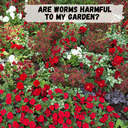 Can worms actually be harmful to my garden?