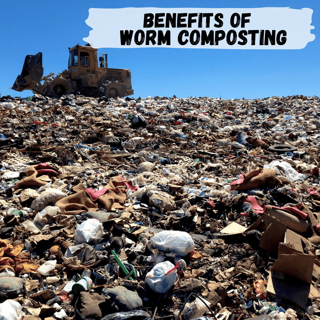 Benefits of Worm Composting are Numerous