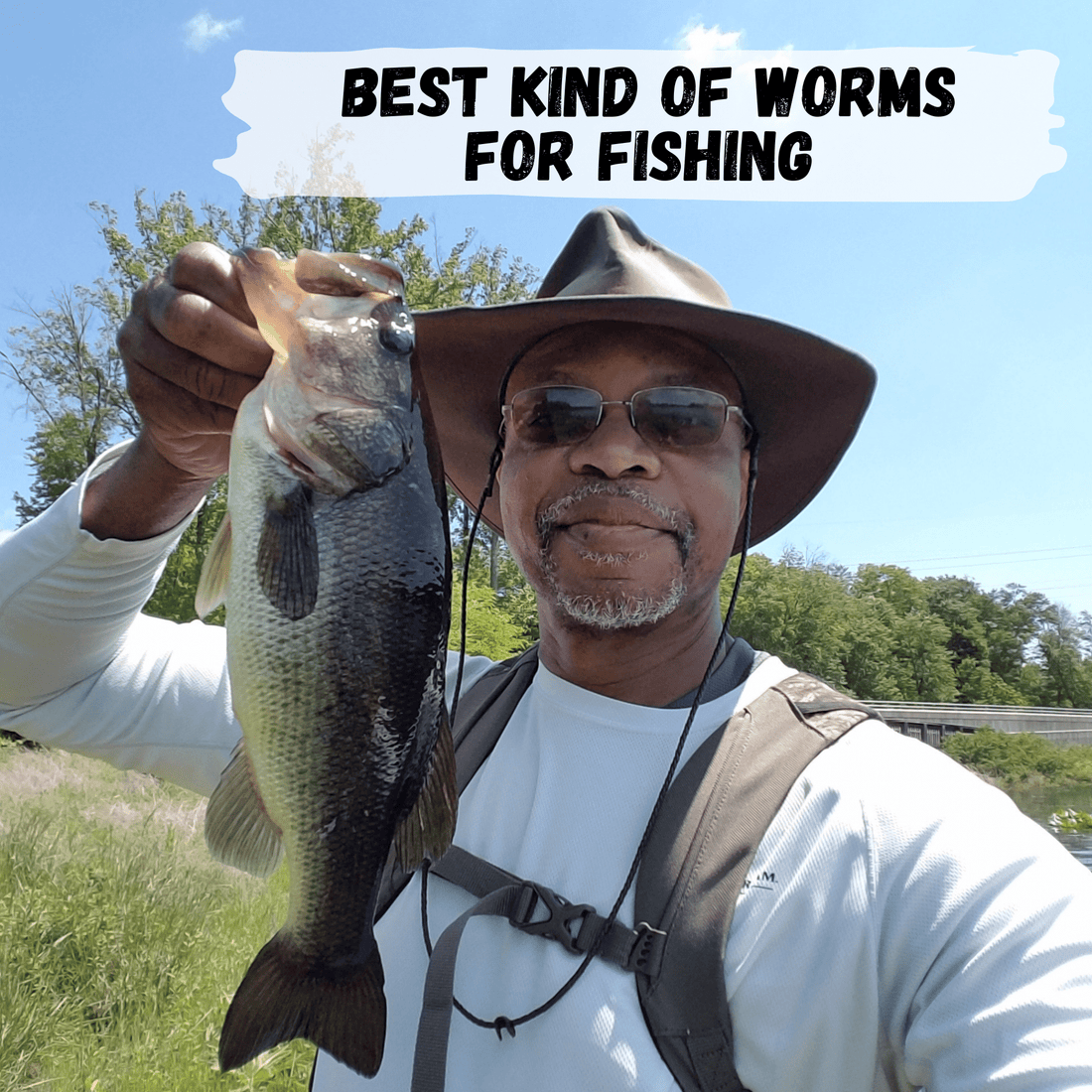 Best kind of worms for fishing