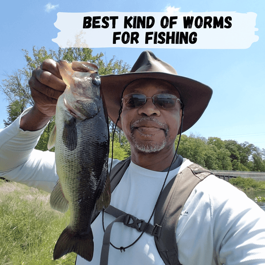 Best kind of worms for fishing