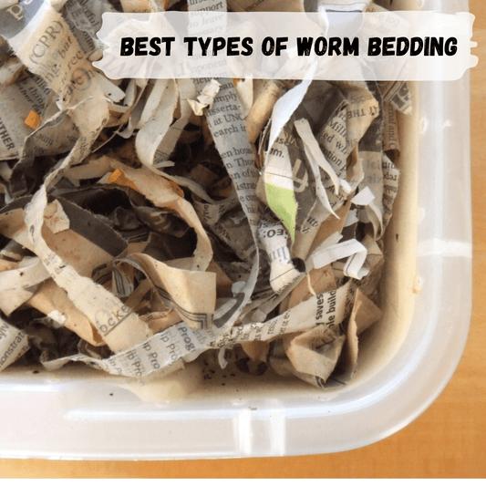 container of shredded cardboard and newspaper used for worm composting