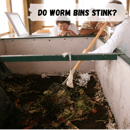 Do worm bins stink?