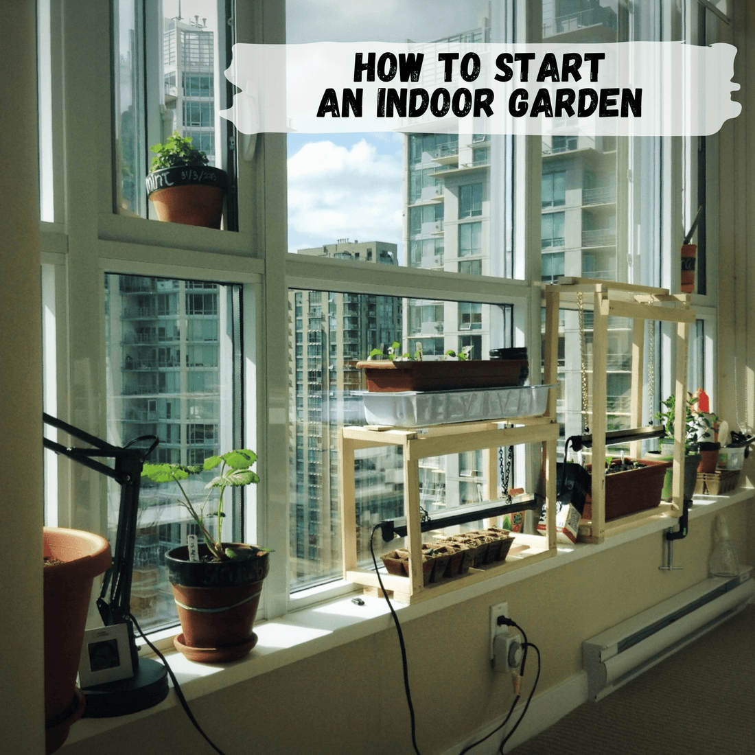herb garden with grow lights on windowsill in apartment.  City skyline in the background.