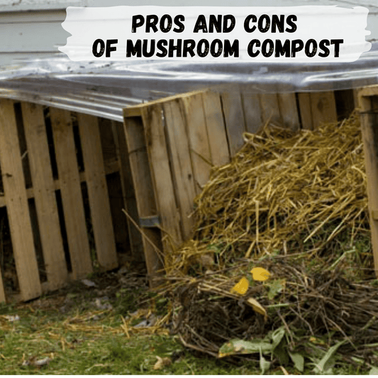Pros and cons of mushroom compost