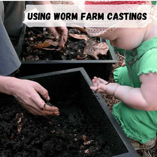 toddler girl and partner harvesting worm castings together as a family activity